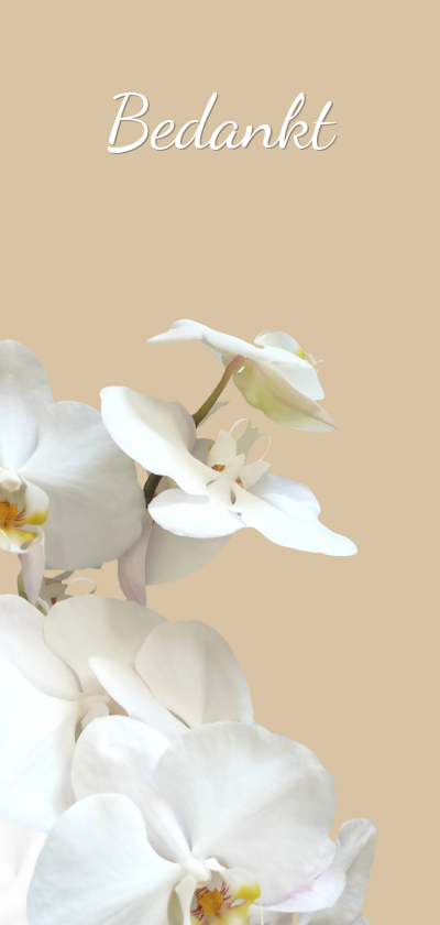 Rouwkaarten - Rouwkaart bedankt hemels witte orchidee