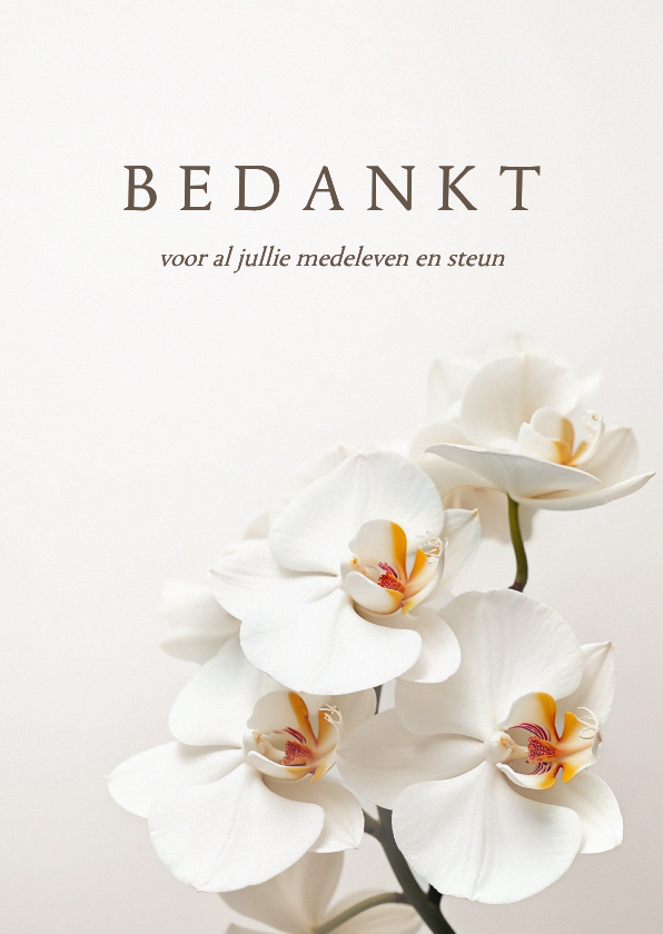 Rouwkaarten - Rouwkaart bedankt orchidee bloemen klassiek stijlvol
