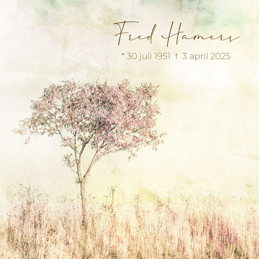 Rouwkaart boom pastel veld - Rouwkaarten Rouwkaarten - Rouwkaart boom pastel veld
