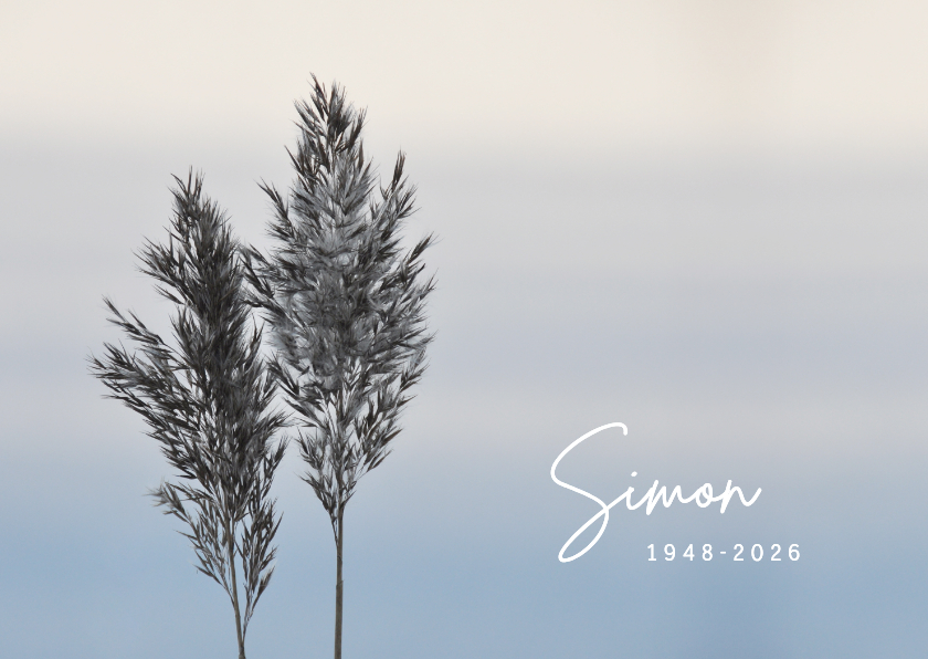 Rouwkaarten - Rouwkaart foto riethalmen en neutrale achtergrond