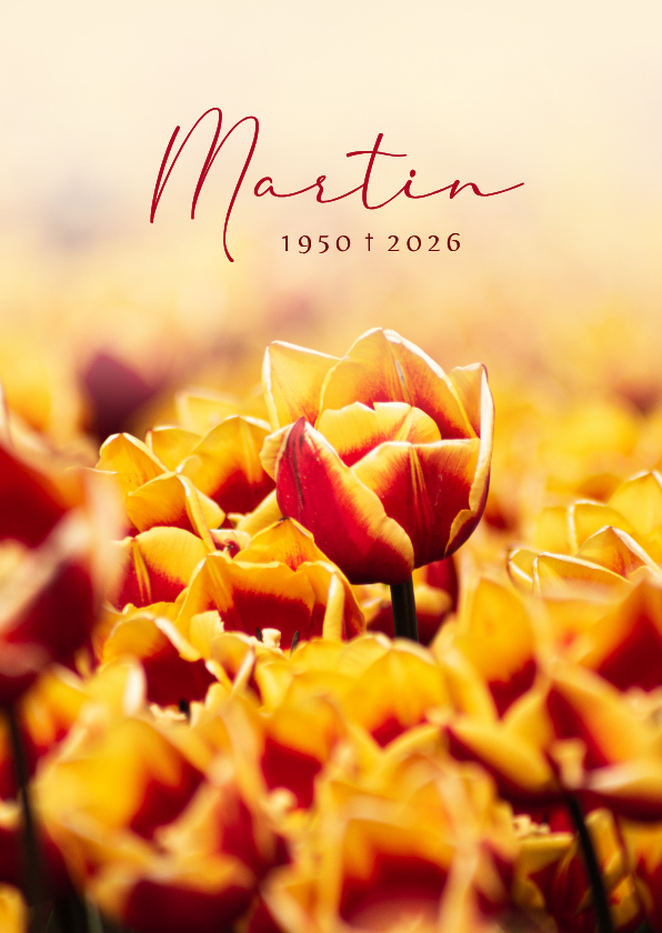 Rouwkaarten - Rouwkaart man met tulpenveld 