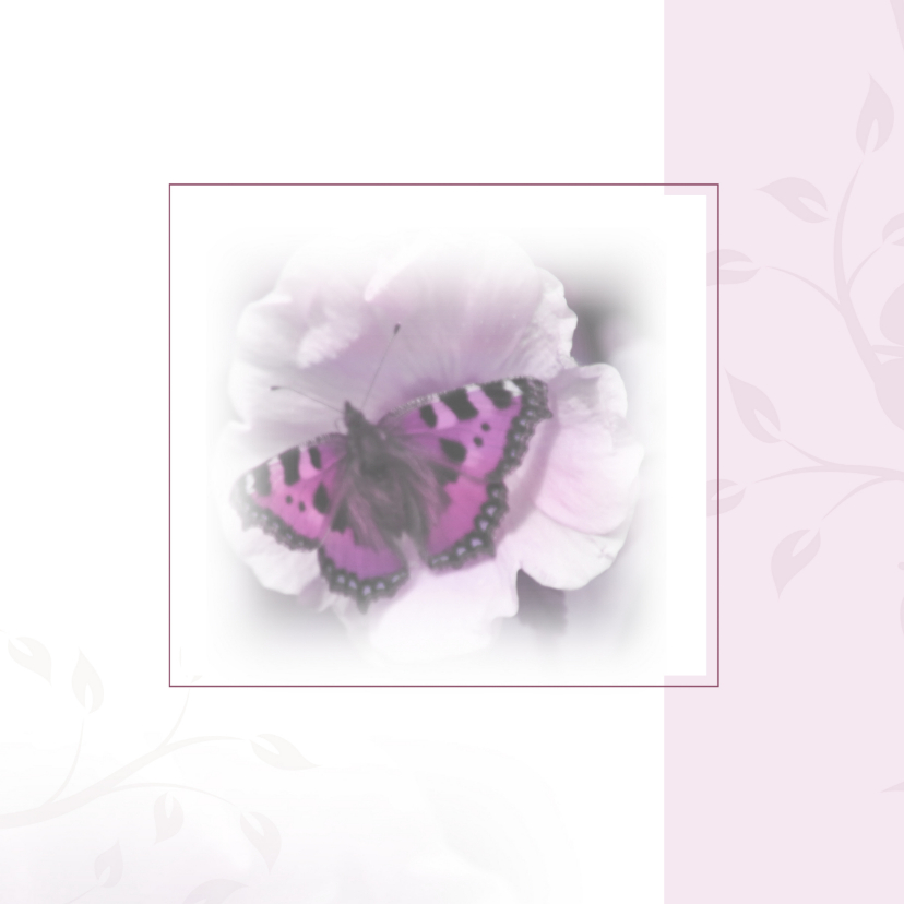 Rouwkaarten - rouwkaart met mooie vlinder