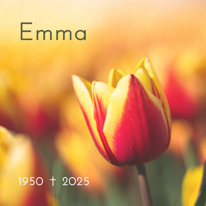 Rouwkaarten - Rouwkaart met rood-gele tulp 