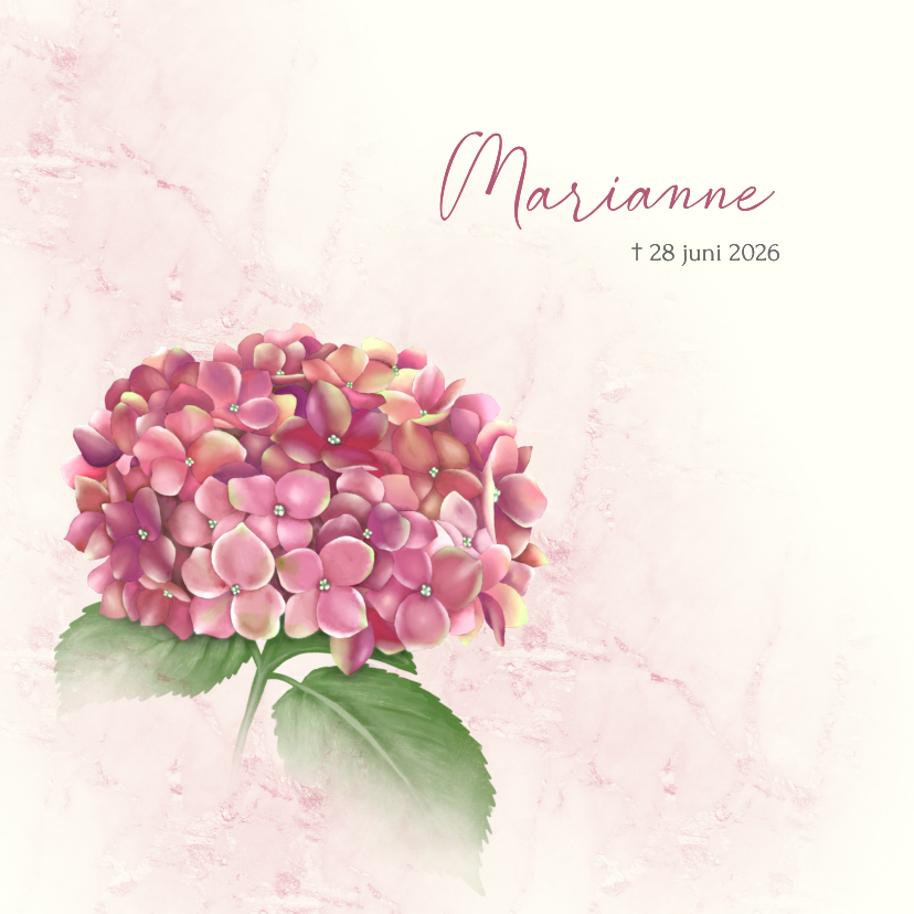 Rouwkaart met roze hortensia - Rouwkaarten Rouwkaarten - Rouwkaart met roze hortensia
