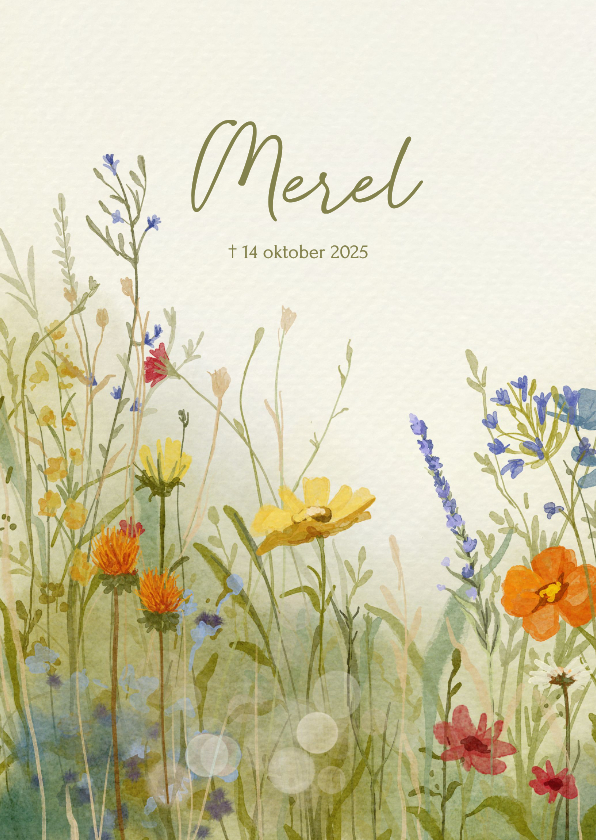 Rouwkaarten - Rouwkaart sfeervolle veldbloemen