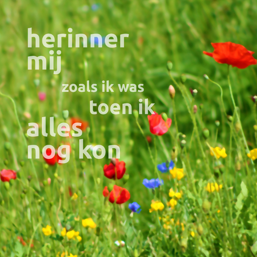 Rouwkaart Veldbloemen - Rouwkaarten Rouwkaarten - Rouwkaart Veldbloemen