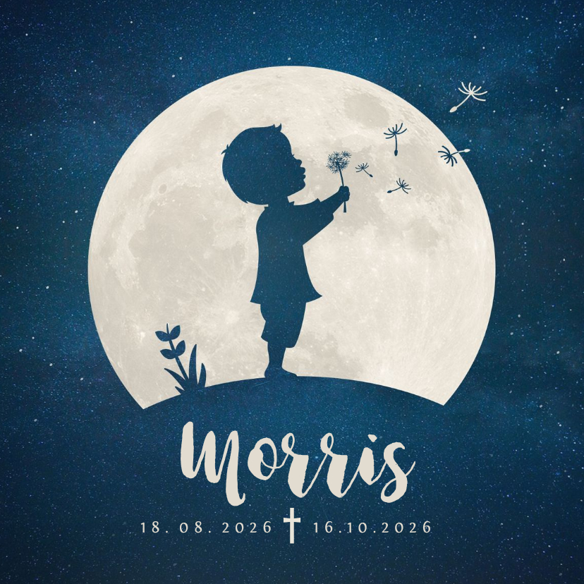 Rouwkaart voor een kind - silhouet jongen met paardenbloem - Rouwkaarten Rouwkaarten - Rouwkaart voor een kind - silhouet jongen met paardenbloem