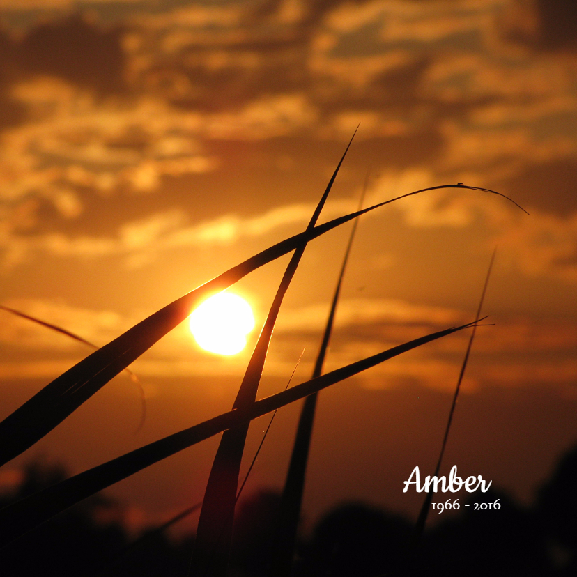 Rouwkaarten - Rouwkaart Zonsondergang riet