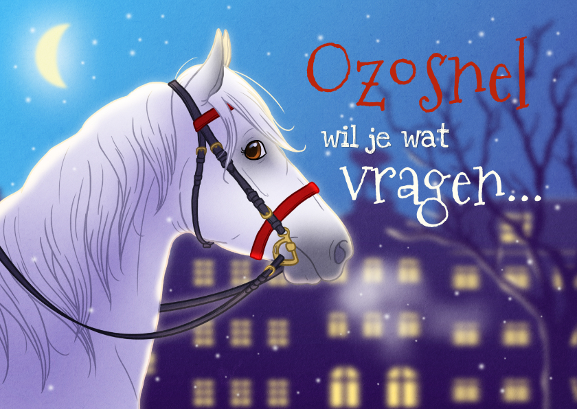 Sinterklaaskaarten - Sinterklaaskaart uitnodiging met paard