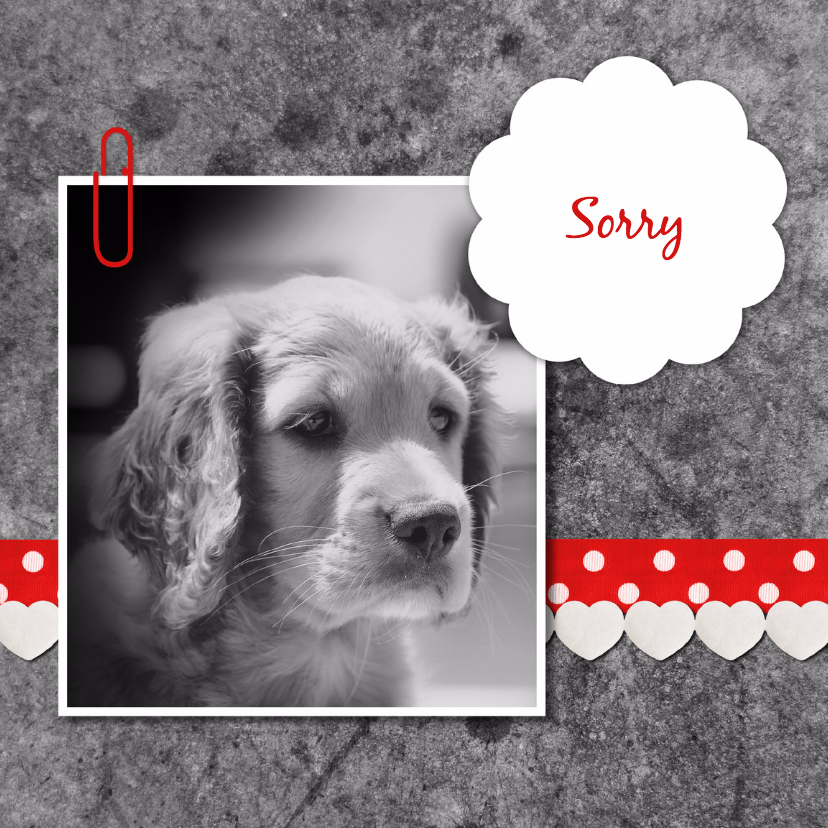 Sorry hond met linten - DH - Sorry kaarten Sorry kaarten - Sorry hond met linten - DH