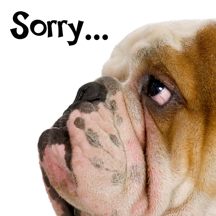 Sorry kaart met droevig hondje - Sorry kaarten Sorry kaarten - Sorry kaart met droevig hondje