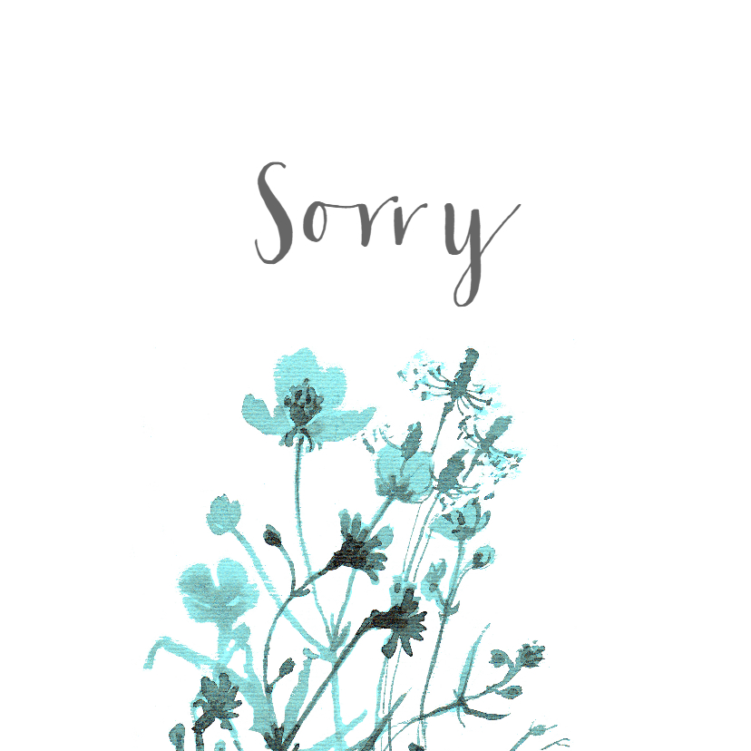 Sorry kaart met getekende veldbloemen - Sorry kaarten Sorry kaarten - Sorry kaart met getekende veldbloemen