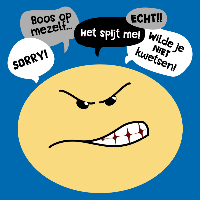 Sorry kaart Smiley boos - Sorry kaarten Sorry kaarten - Sorry kaart Smiley boos