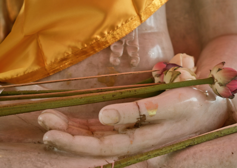 Boeddha hand met lotus - Religie kaarten Religie kaarten - Boeddha hand met lotus