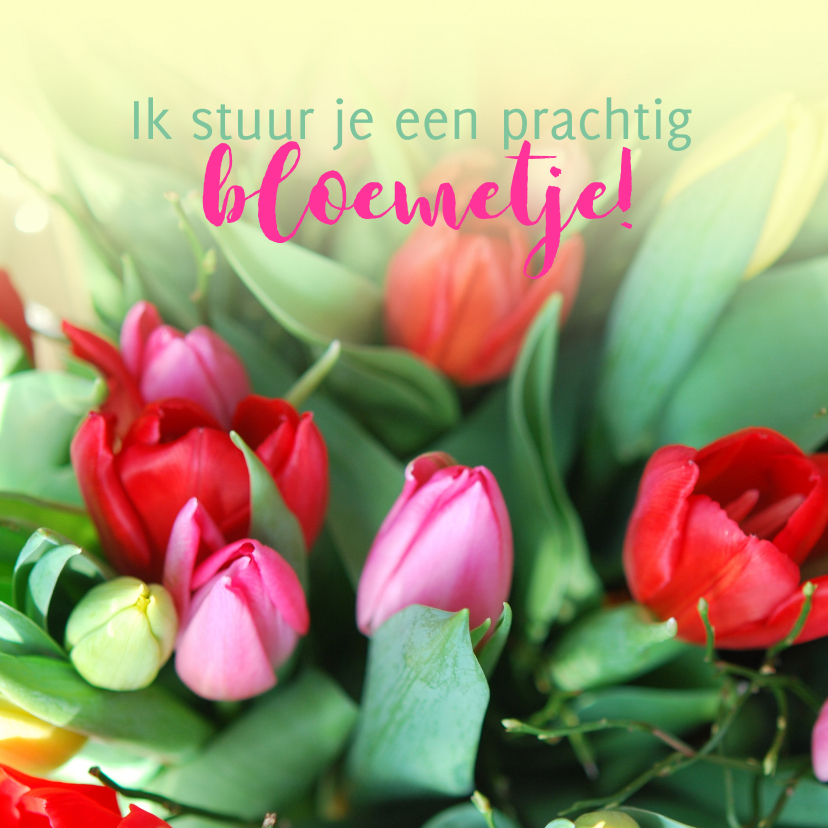 Fotokaart tulpen kleurrijk - Sterkte kaarten Sterkte kaarten - Fotokaart tulpen kleurrijk