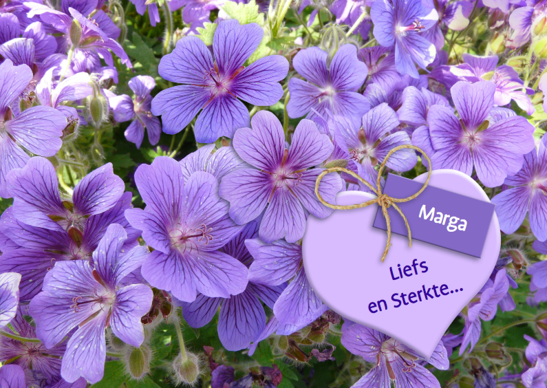 Mooie sterkte kaart hart en kaartje tussen purpert bloemen - Sterkte kaarten Sterkte kaarten - Mooie sterkte kaart hart en kaartje tussen purpert bloemen