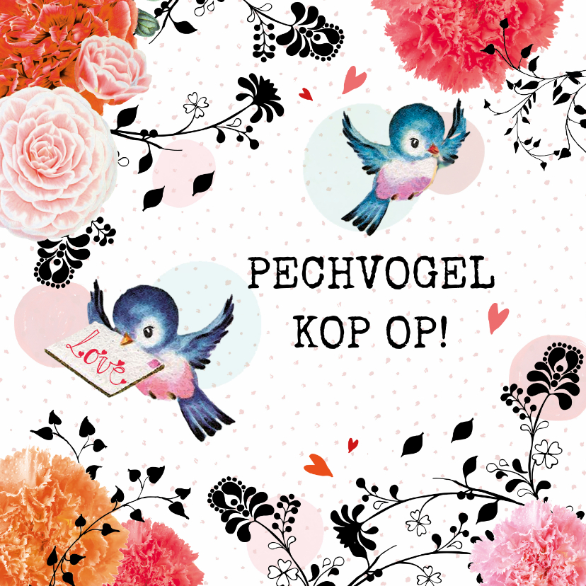 Pechvogel, kop op! Stijlvolle sterkte kaart voor elk moment - Sterkte kaarten Sterkte kaarten - Pechvogel, kop op! Stijlvolle sterkte kaart voor elk moment