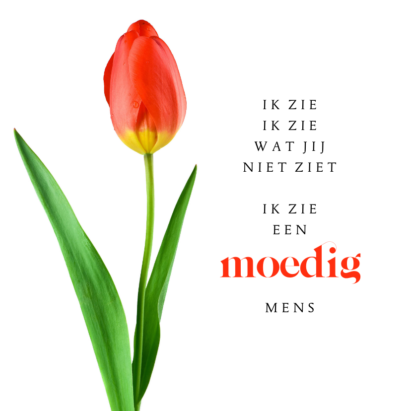 Sterkte kaarten - Sterkte ik zie een moedig mens