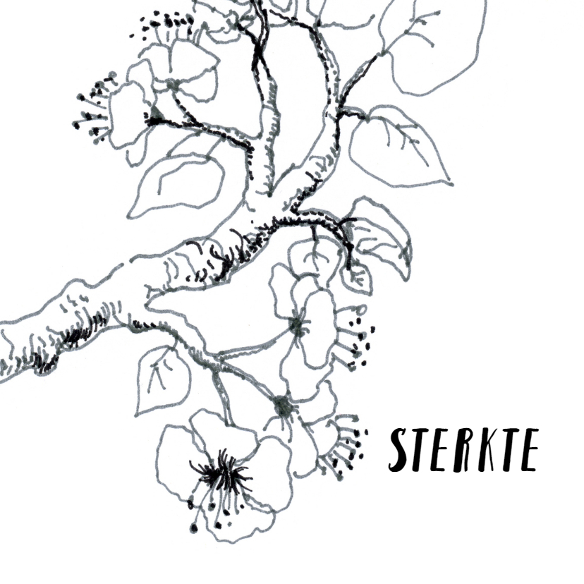 Sterkte kaart, bloesem tekening - Sterkte kaarten Sterkte kaarten - Sterkte kaart, bloesem tekening