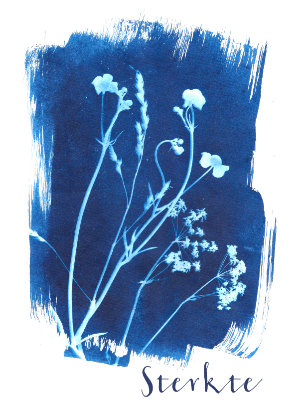 Sterkte kaarten - Sterkte kaart geplukte bloemen blauw