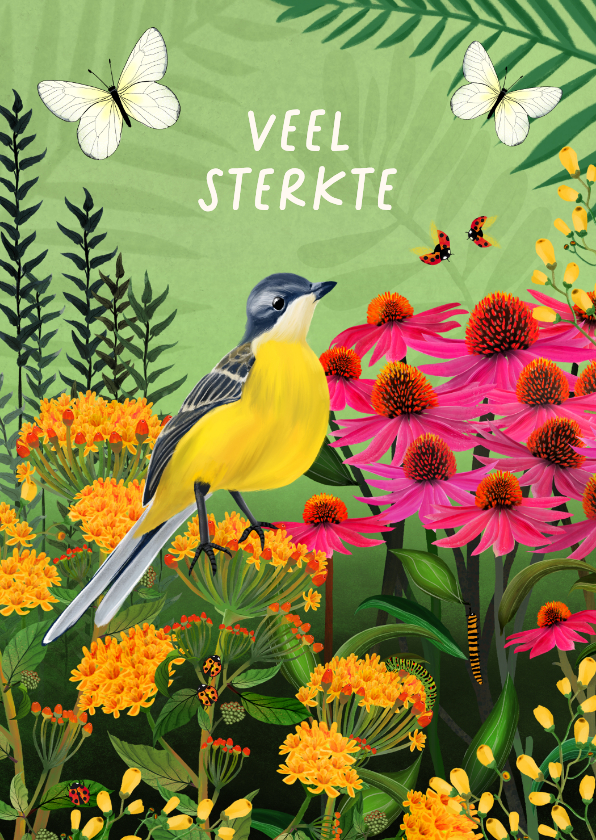Sterkte kaarten - Sterkte-kaart met vogel en vlinders