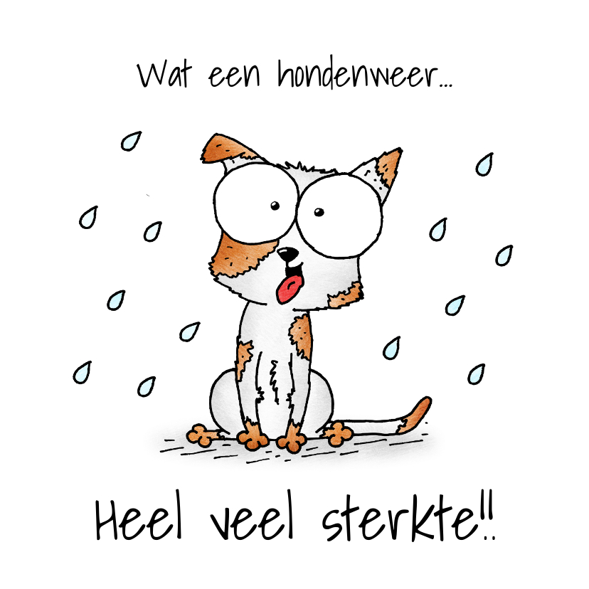 Sterkte kaarten - Sterkte kaart puppy - Wat een hondenweer; heel veel sterkte!