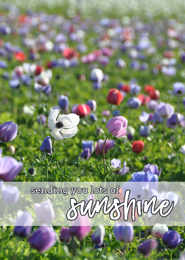 Sterkte kaart Sunshine - Sterkte kaarten Sterkte kaarten - Sterkte kaart Sunshine