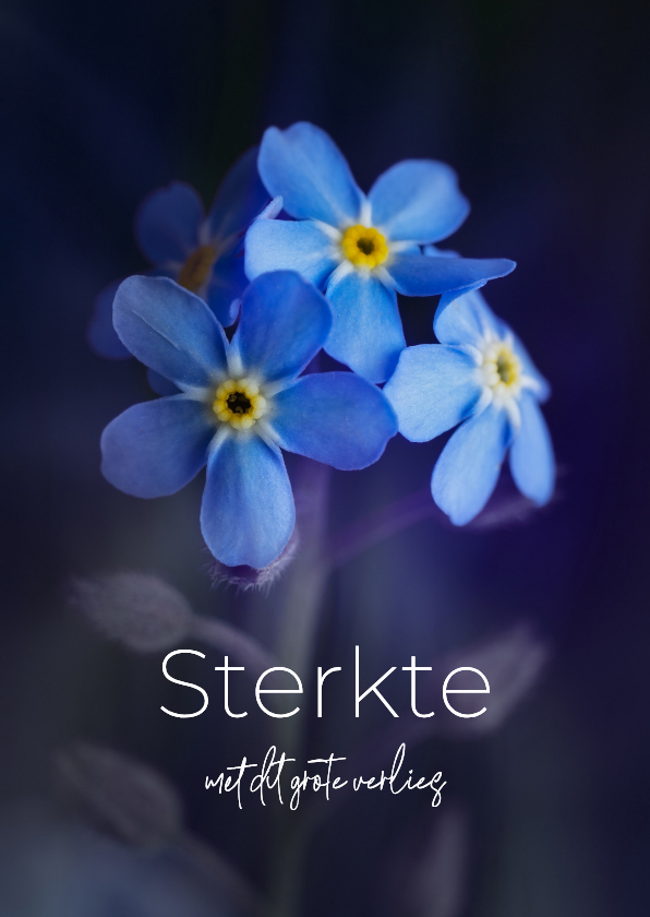 Sterkte kaarten - Sterkte kaart vergeet-me-nietjes bloemen