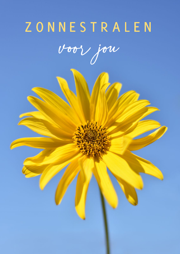 Sterkte kaart zonnestralen met foto van gele bloem - Sterkte kaarten Sterkte kaarten - Sterkte kaart zonnestralen met foto van gele bloem