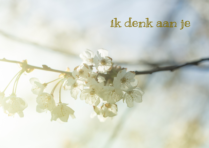 Sterkte kaarten bloesem MM - Sterkte kaarten Sterkte kaarten - Sterkte kaarten bloesem MM