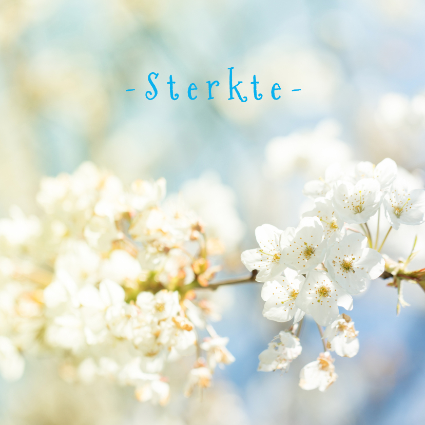Sterkte kaarten pastel MM - Sterkte kaarten Sterkte kaarten - Sterkte kaarten pastel MM