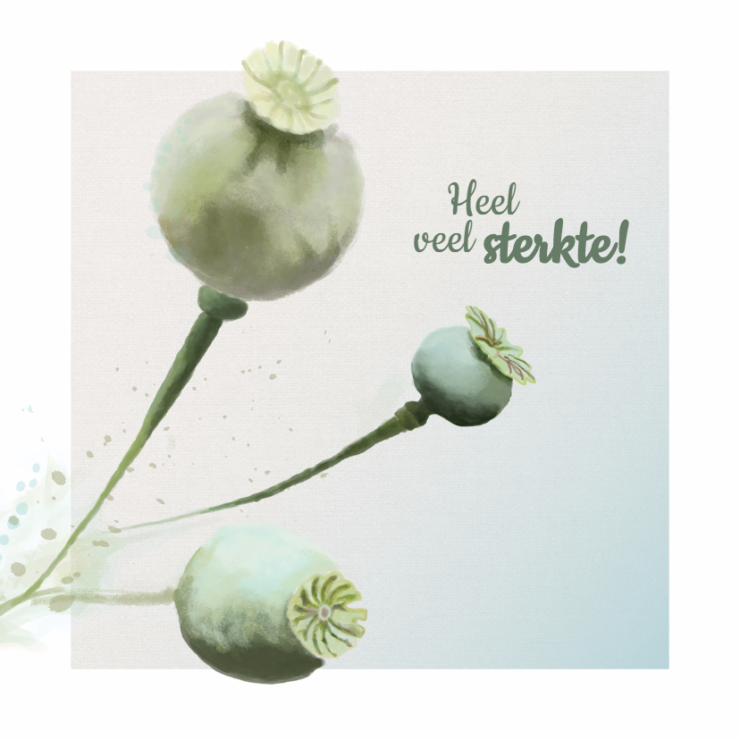 Sterkte - Papaver -MW - Sterkte kaarten Sterkte kaarten - Sterkte - Papaver -MW