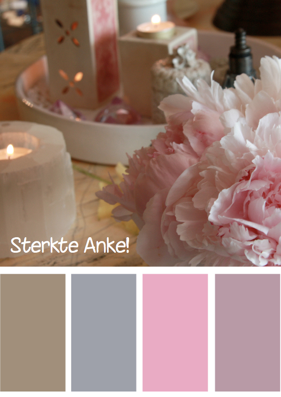 Sterkte roze bloem kleuren - Sterkte kaarten Sterkte kaarten - Sterkte roze bloem kleuren