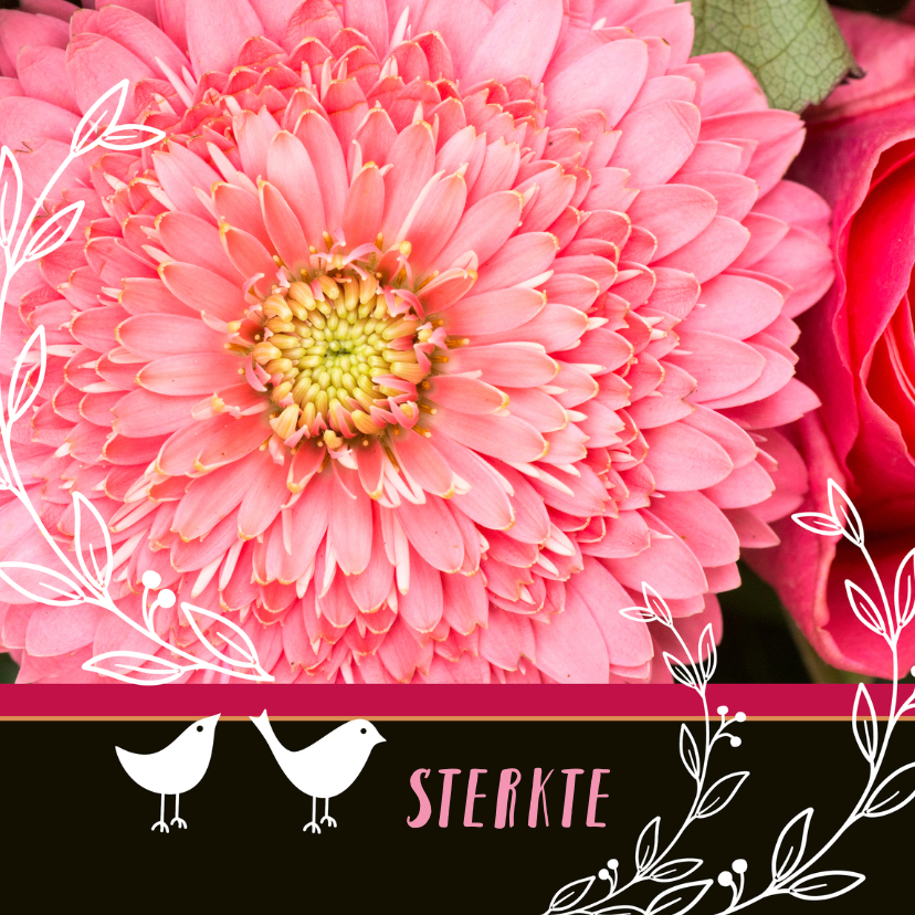 Sterkte Roze bloemen - Sterkte kaarten Sterkte kaarten - Sterkte Roze bloemen