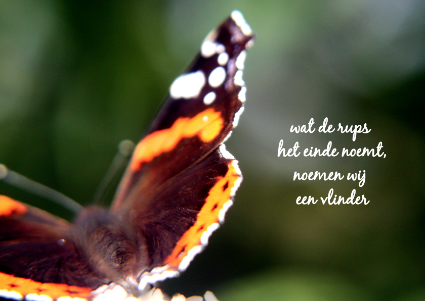 Sterkte vlinder gaat verder ME - Sterkte kaarten Sterkte kaarten - Sterkte vlinder gaat verder ME