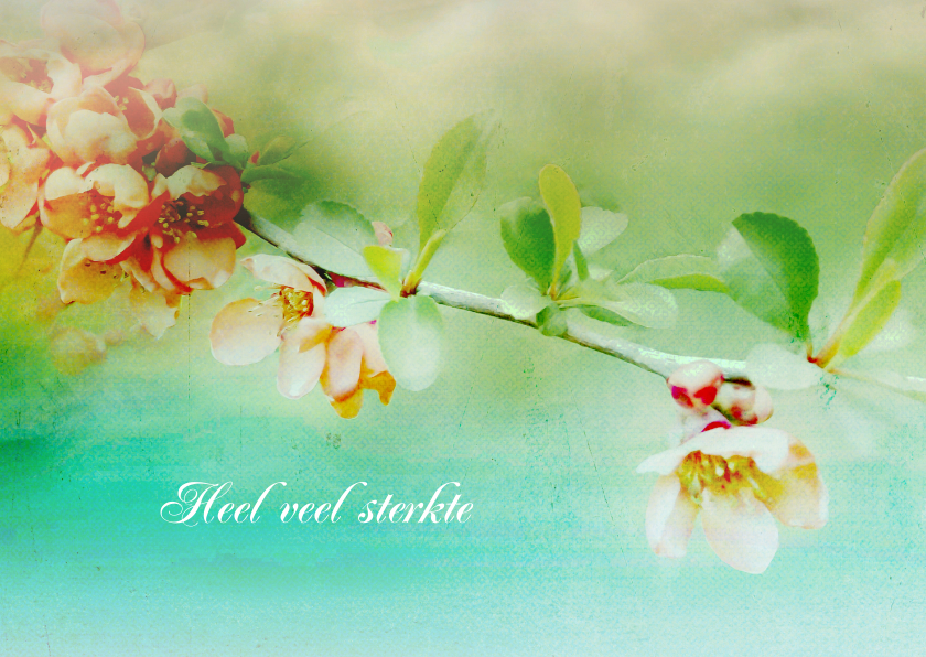 Sterktekaart bloesem lente kleuren - Sterkte kaarten Sterkte kaarten - Sterktekaart bloesem lente kleuren
