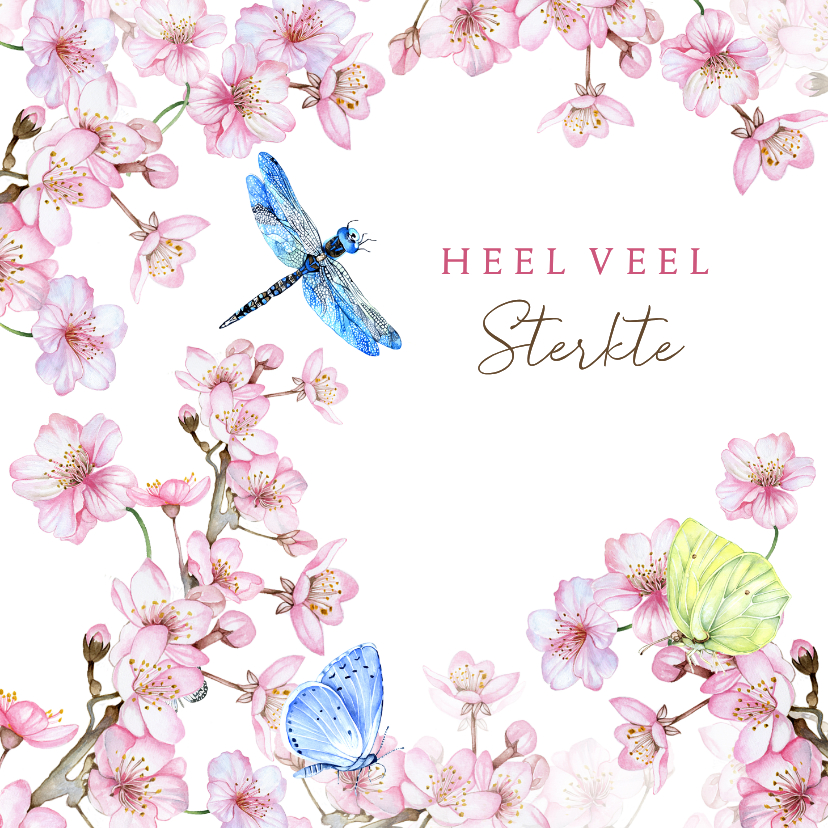 Sterkte kaarten - Sterktekaart bloesem vlinders