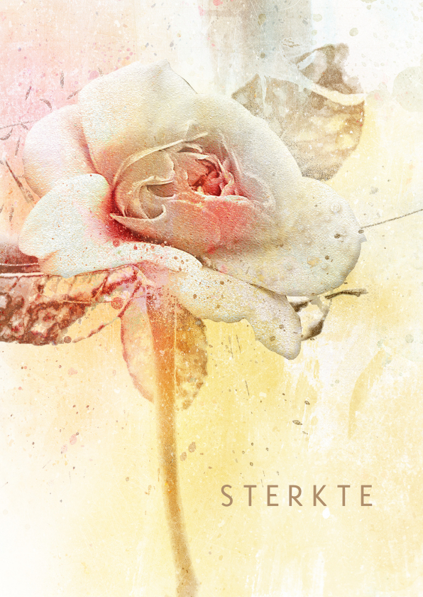 Sterkte kaarten - Sterktekaart engelse roos pastel