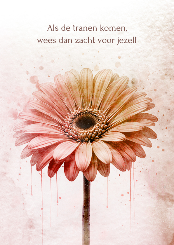 Sterkte kaarten - Sterktekaart gerbera zacht roze textuur