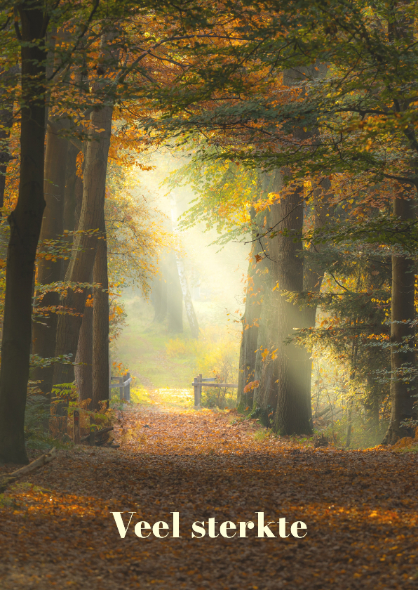 Sterkte kaarten - Sterktekaart herfstbos met zonnestralen