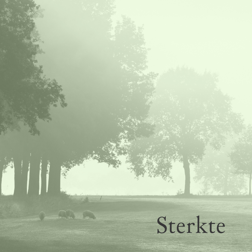 Sterktekaart Hollands landschap - Sterkte kaarten Sterkte kaarten - Sterktekaart Hollands landschap