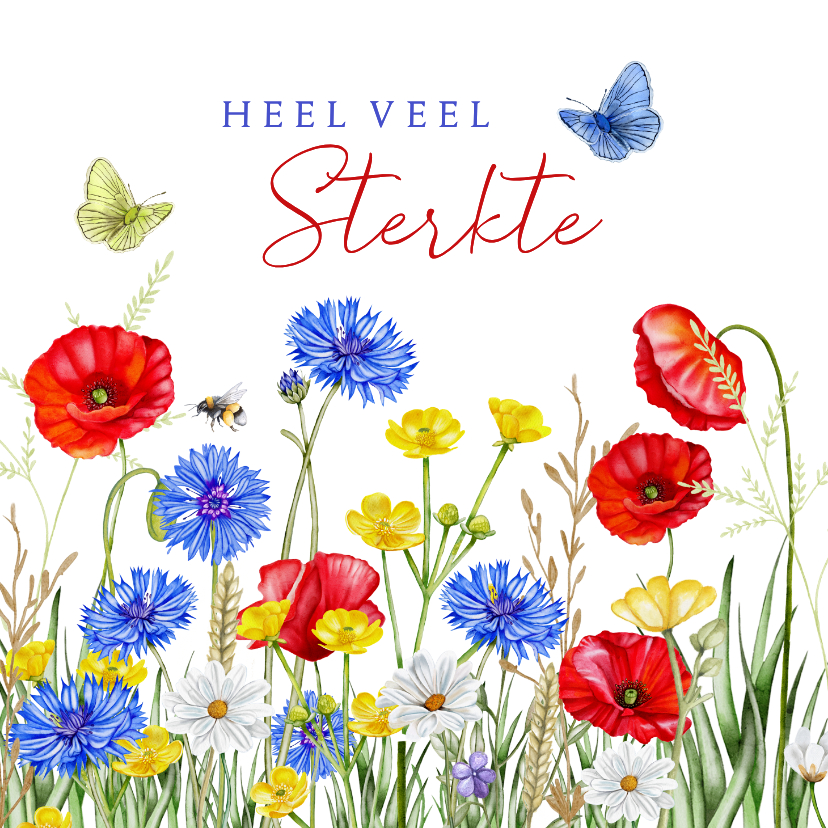Sterkte kaarten - Sterktekaart klaprozen met veldbloemen en vlinders