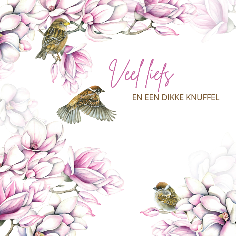 Sterkte kaarten - Sterktekaart magnolia vogeltjes
