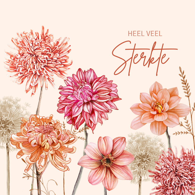 Sterktekaart met dahlia's - Sterkte kaarten Sterkte kaarten - Sterktekaart met dahlia's