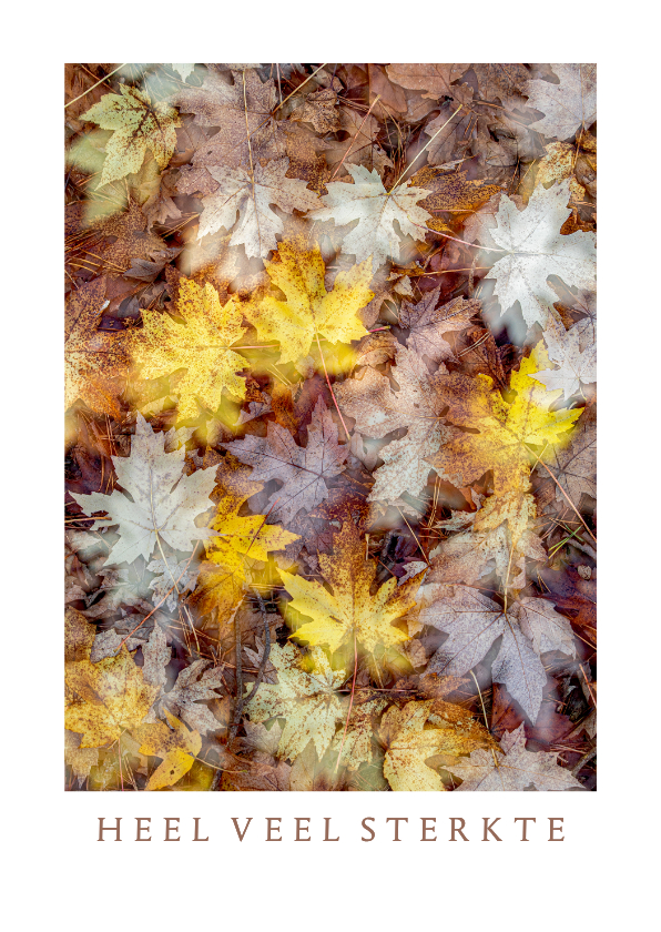 Sterkte kaarten - Sterktekaart met gekleurde herfstbladeren