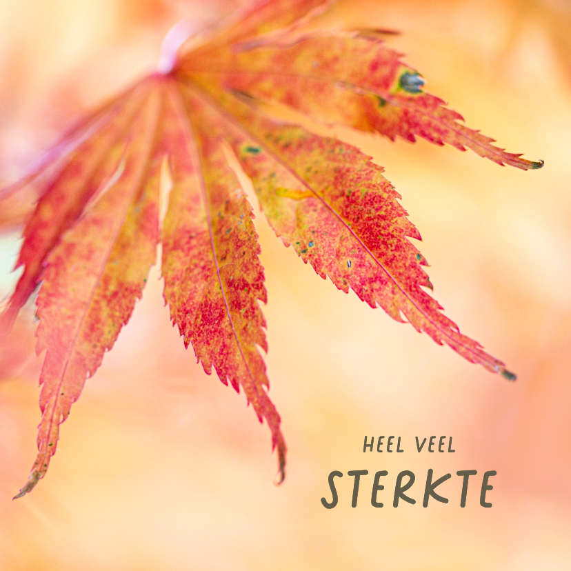 Sterkte kaarten - Sterktekaart met herfstblad