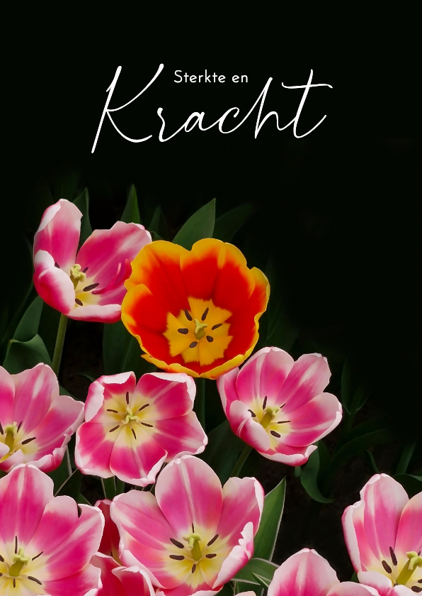 Sterkte kaarten - Sterktekaart rood roze gele tulpen