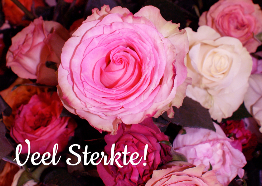 Sterktekaart rozen - Sterkte kaarten Sterkte kaarten - Sterktekaart rozen