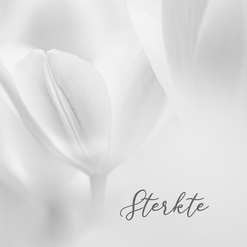 Sterkte kaarten - Sterktekaart tulpen