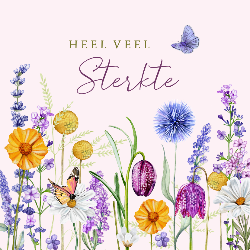Sterkte kaarten - Sterktekaart veldbloemen met vlinders